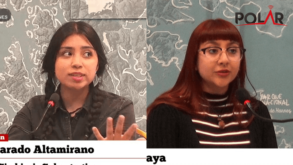 micelioaustral2025 micelioaustral2025