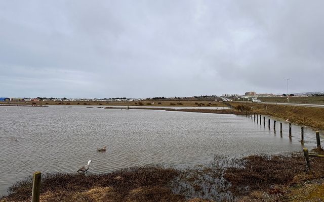 Humedal Tres Puentes Humedal Tres Puentes