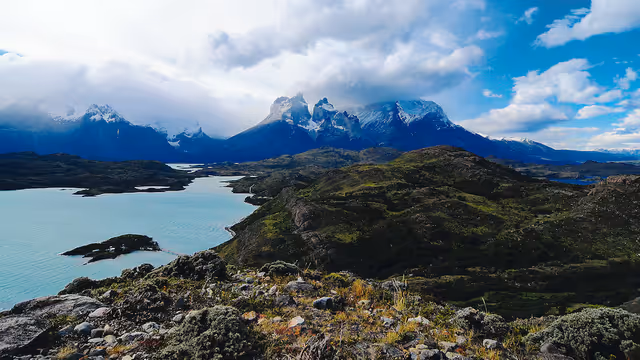 painefrancisconegroni