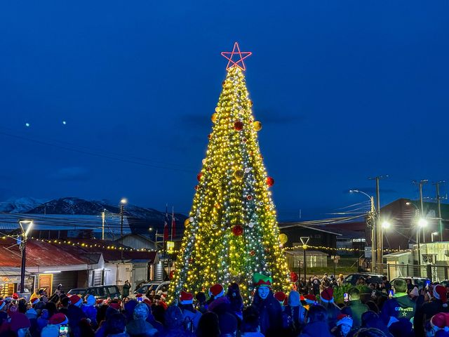 FOTO PUERTO WILLIAMS 3 FOTO PUERTO WILLIAMS 3