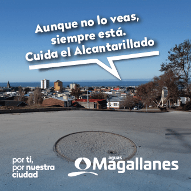 BANNER AGUAS MAGALLANES 336