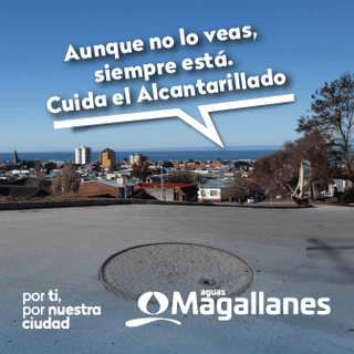 BANNER AGUAS MAGALLANES 336