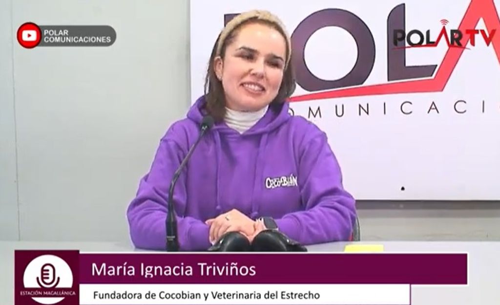 Sin título Sin título