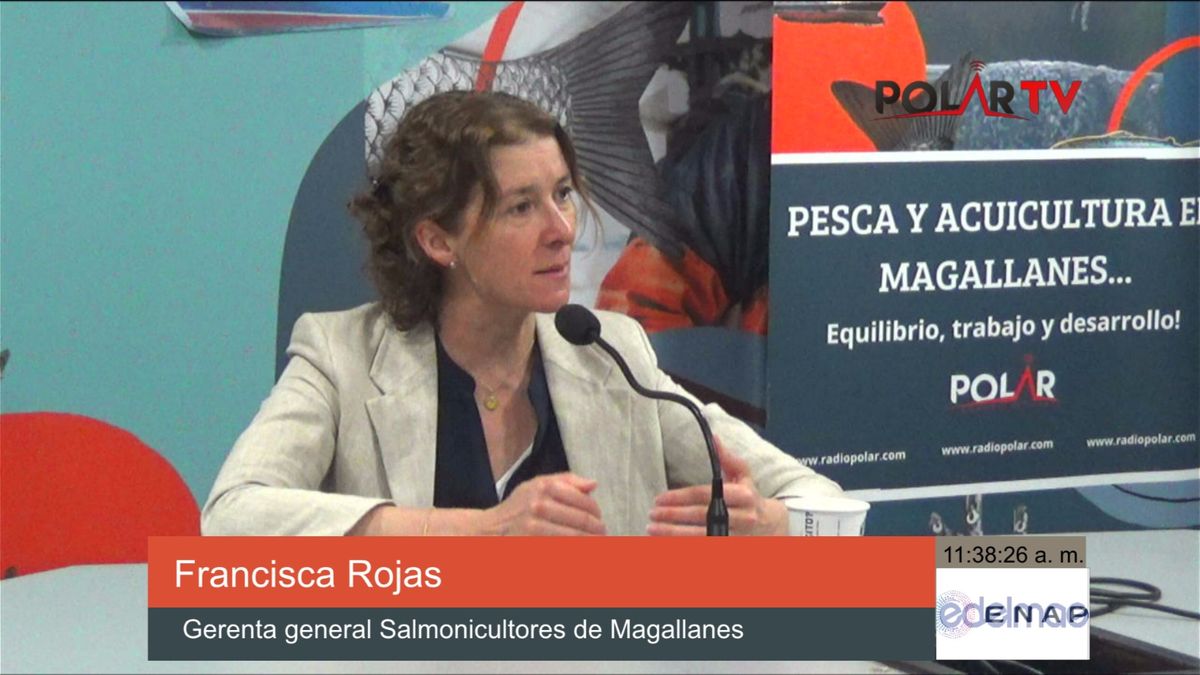 SALMONICULTURA EN MAGALLANES: FRANCISCA ROJAS DETALLA NUEVO BOLETÍN ...