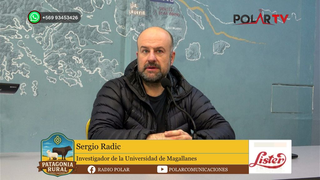 SERGIO RADIC SERGIO RADIC