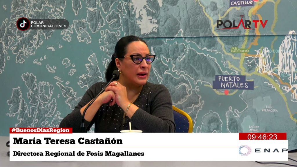fosismagallanes