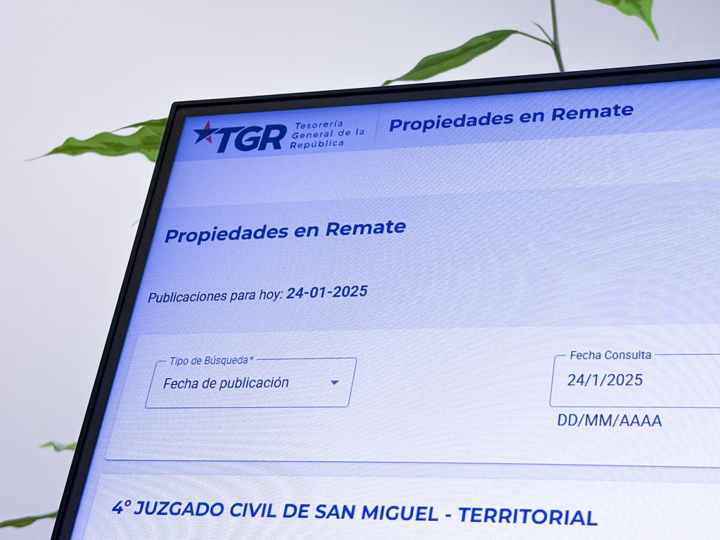 Imagen sitio web plataforma de remates TGR