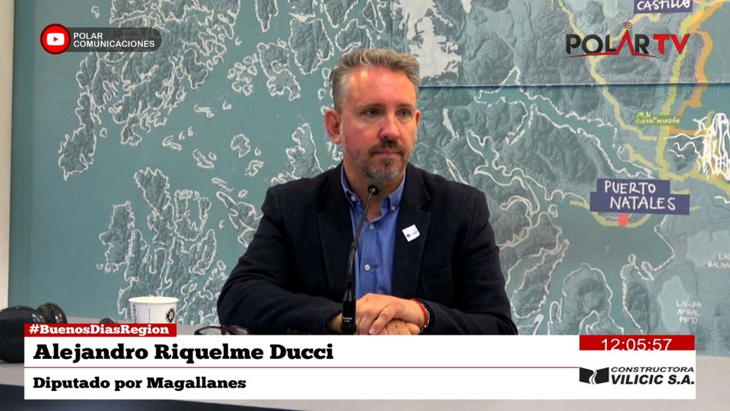 diputadoriquelme diputadoriquelme