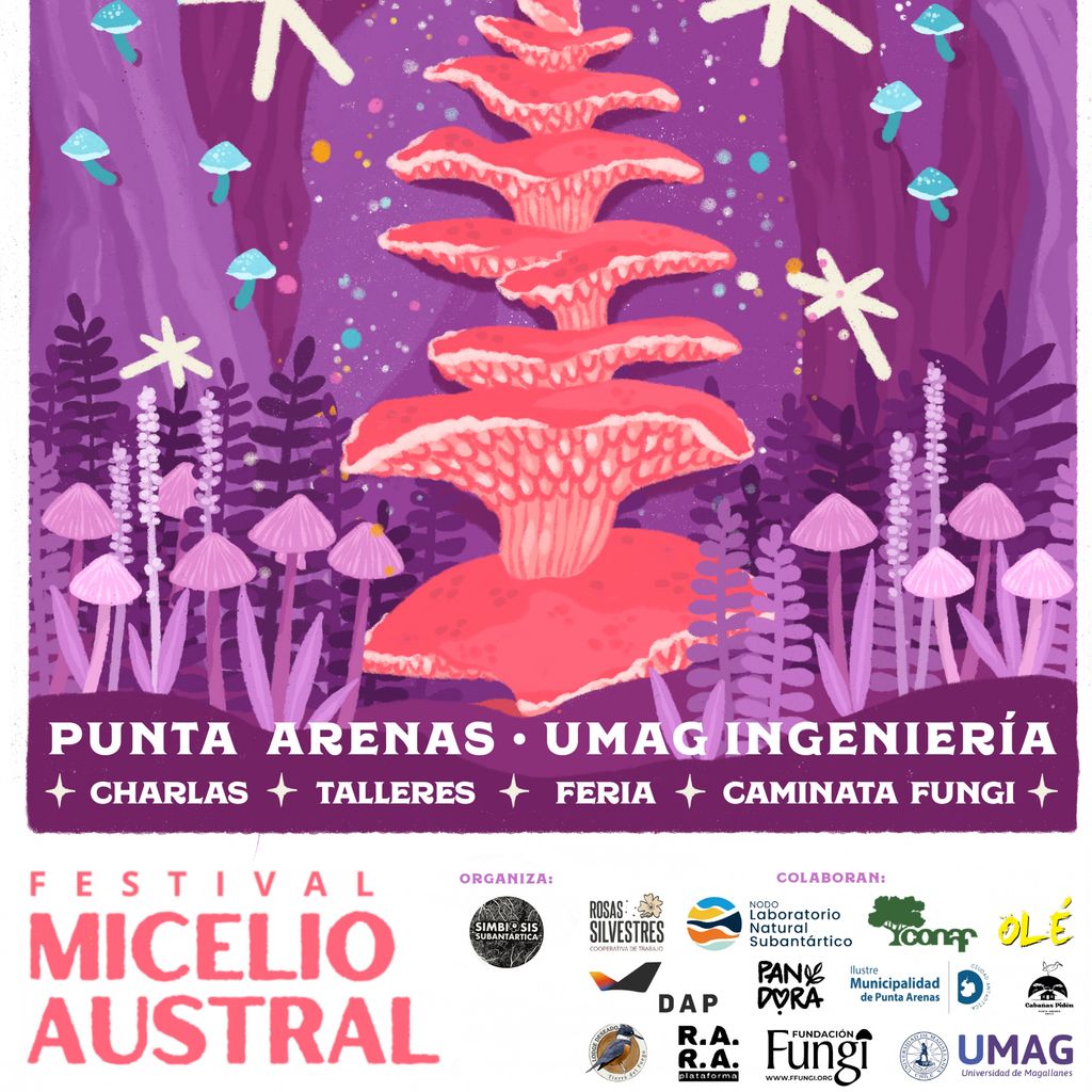 micelio2026 micelio2026