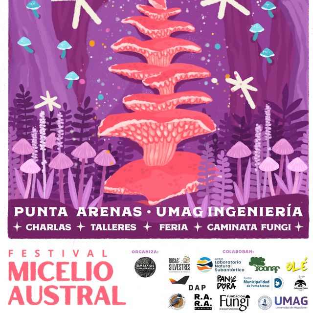 micelio2026 micelio2026