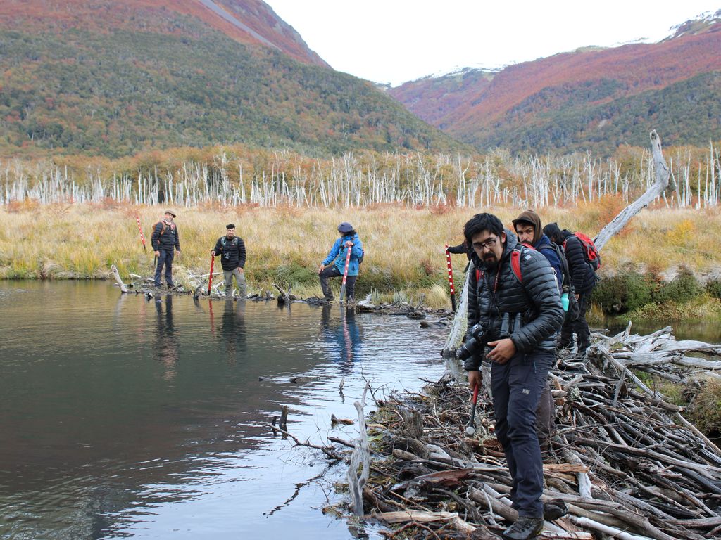 IMG_2986 (1) IMG_2986 (1)