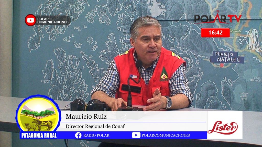 Imagen de WhatsApp 2024-11-15 a las 16 Imagen de WhatsApp 2024-11-15 a las 16