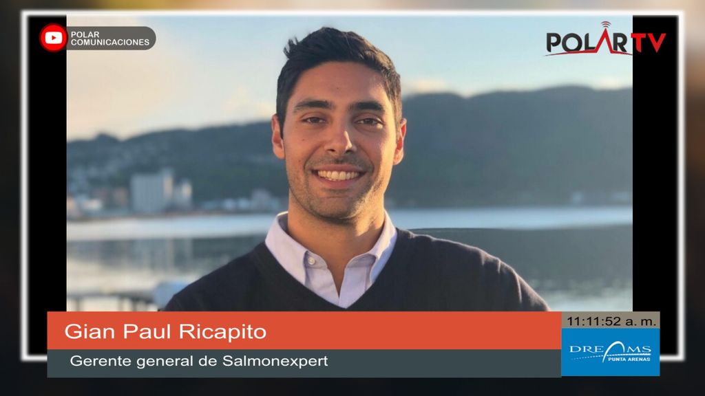salmonexpert