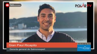 salmonexpert salmonexpert