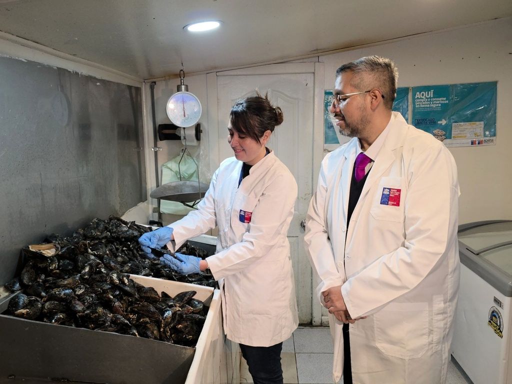 seremisaludsemanasanta2026