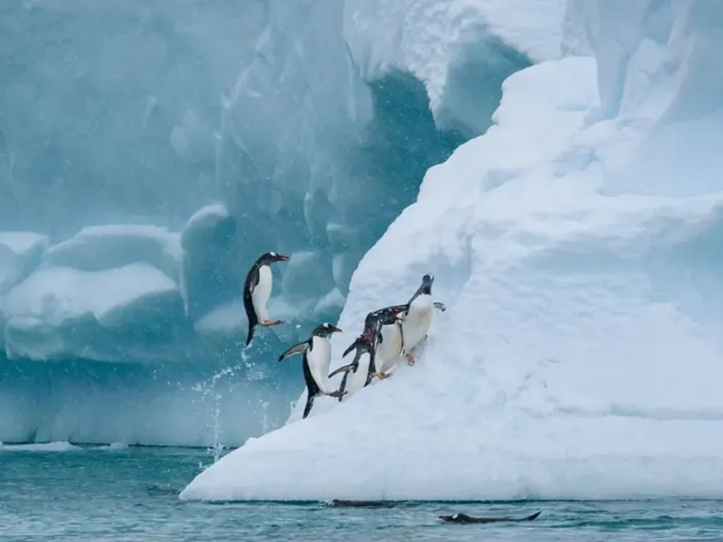 ciencia-la-antartica-foto-meteored-chile