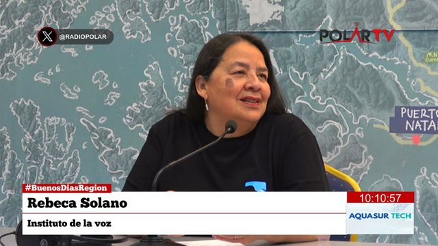 institutodelavoz institutodelavoz