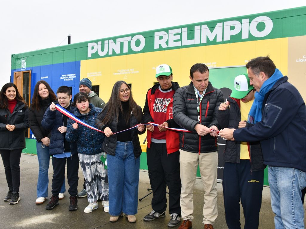 PUNTO LIMPIO (4) PUNTO LIMPIO (4)