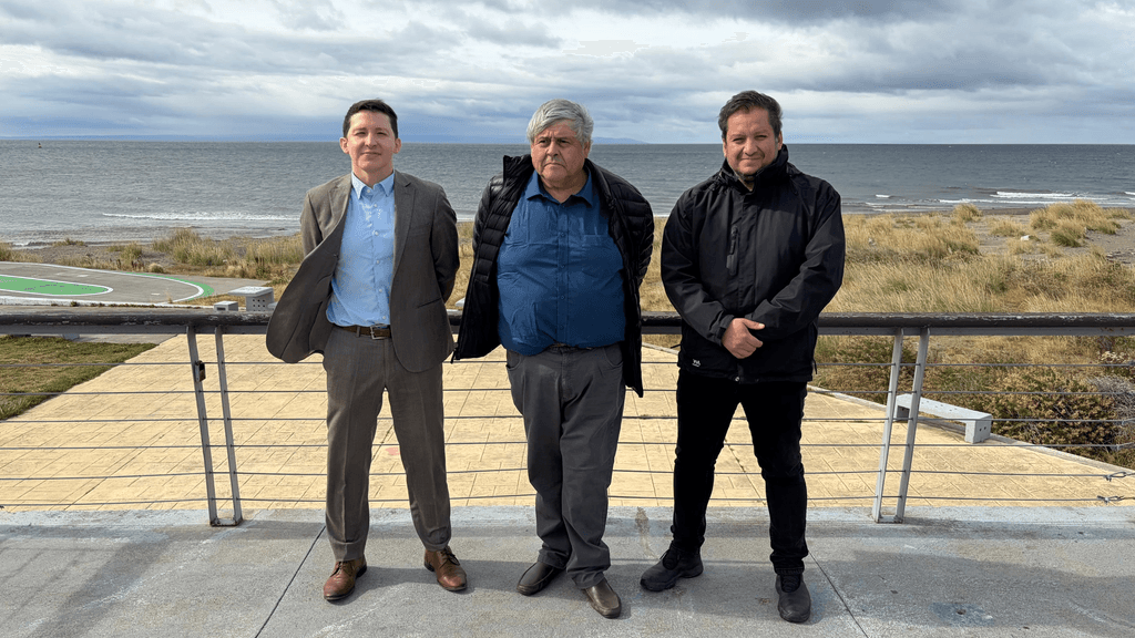 asignación subsidios Timaukel