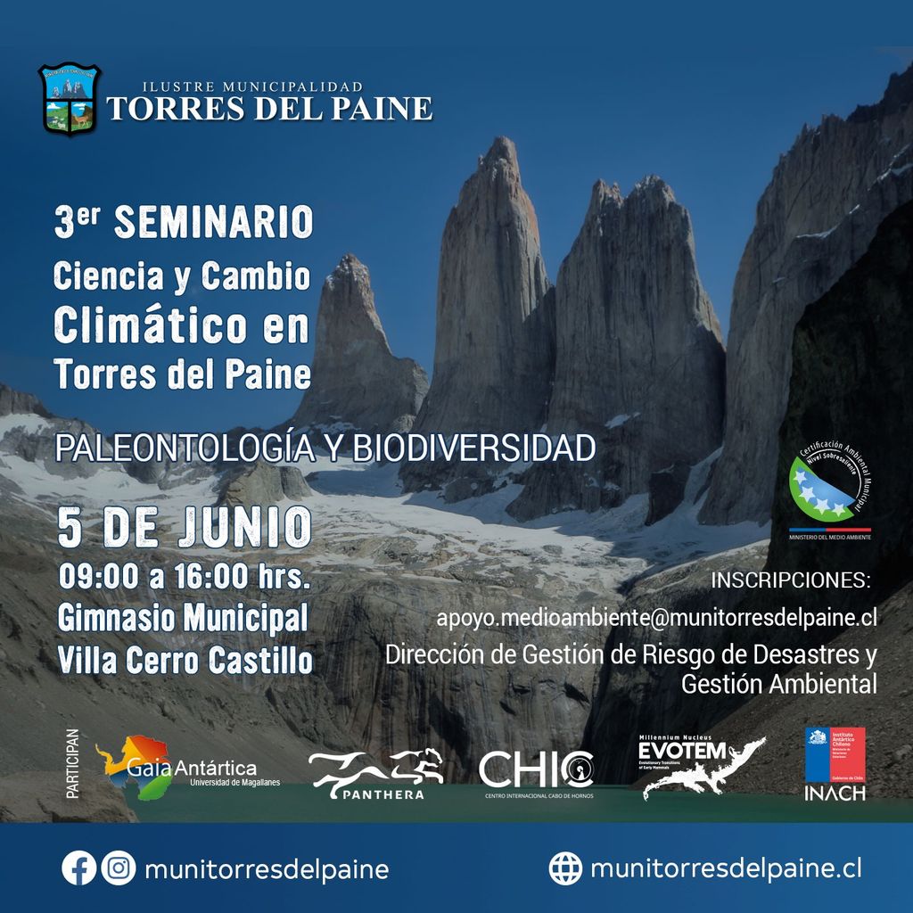 WhatsApp Image 2025-05-28 at 4 WhatsApp Image 2025-05-28 at 4