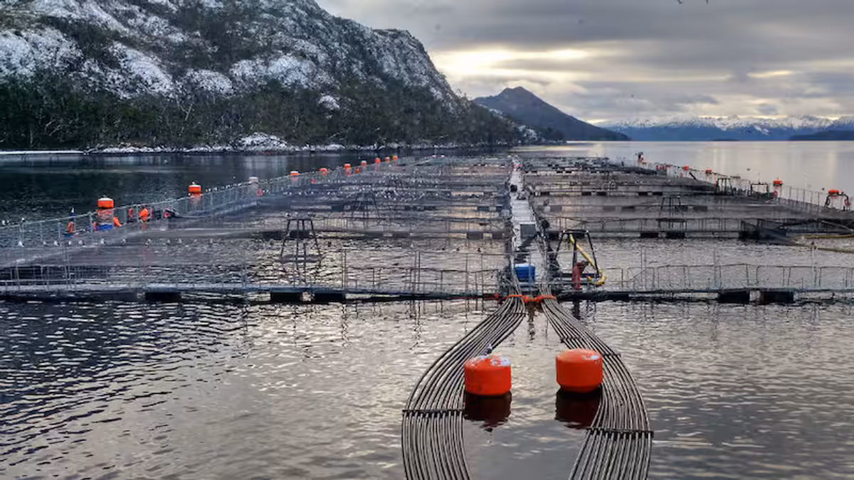 novaaustral novaaustral