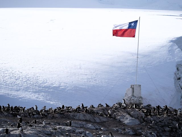 tratadoantartico