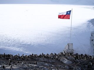tratadoantartico tratadoantartico