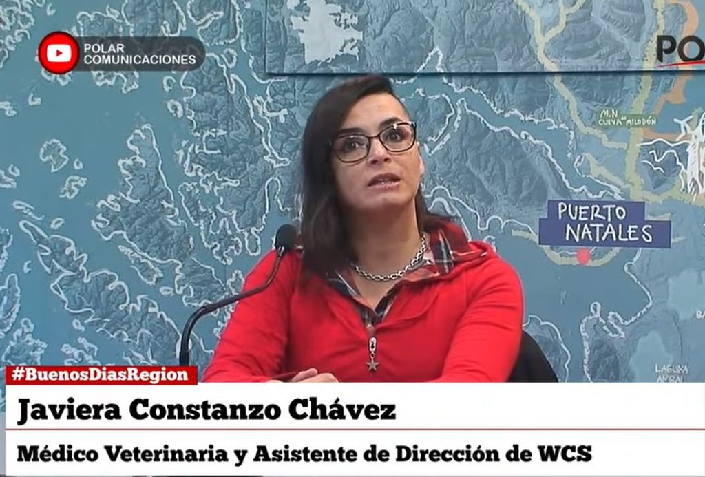 jconstanzo jconstanzo