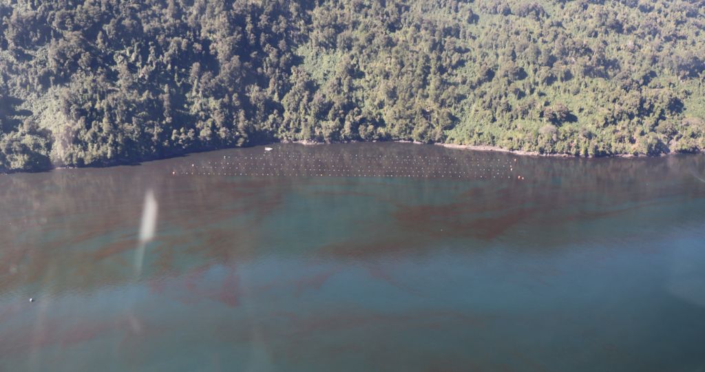 fotojet-33 fotojet-33