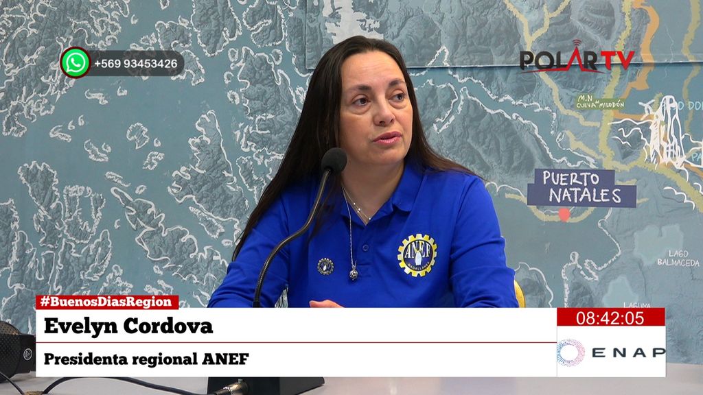 pdtaanefmagallanes pdtaanefmagallanes