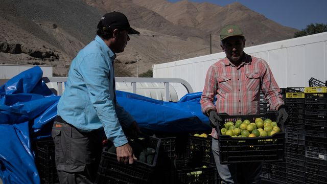 Atacama proveedores gran minería 2