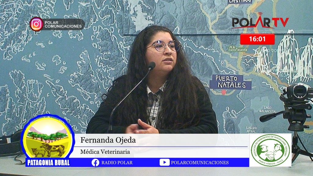 Imagen de WhatsApp 2024-10-04 a las 16 Imagen de WhatsApp 2024-10-04 a las 16
