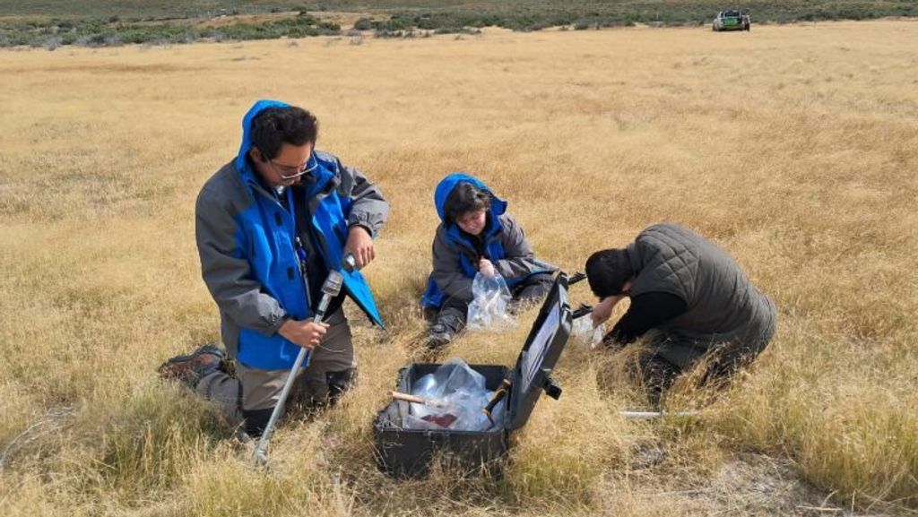 Diego-2-744x465 Diego-2-744x465