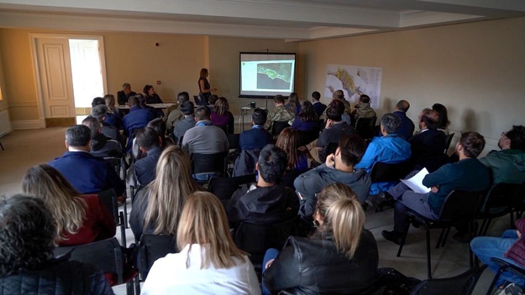 REGULADOR 6 REGULADOR 6