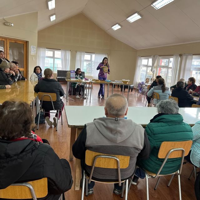 pgmvinculos pgmvinculos