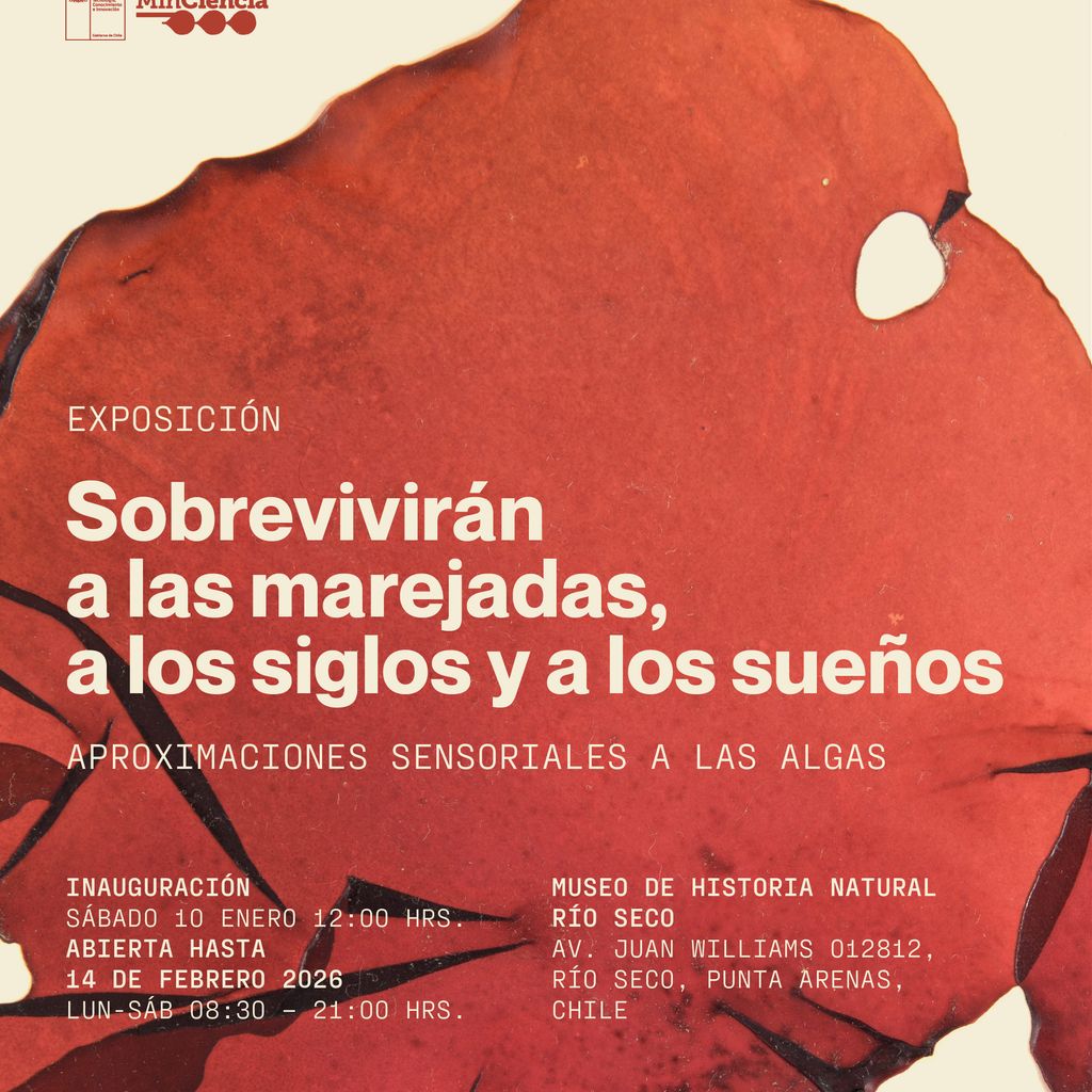 afiche_algas-RSPA_251215