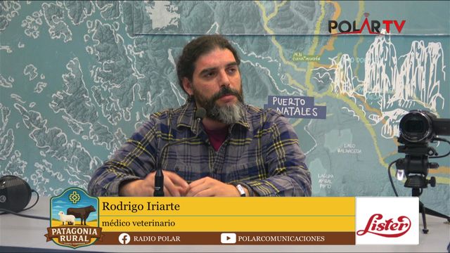 Rodrigo Iriarte