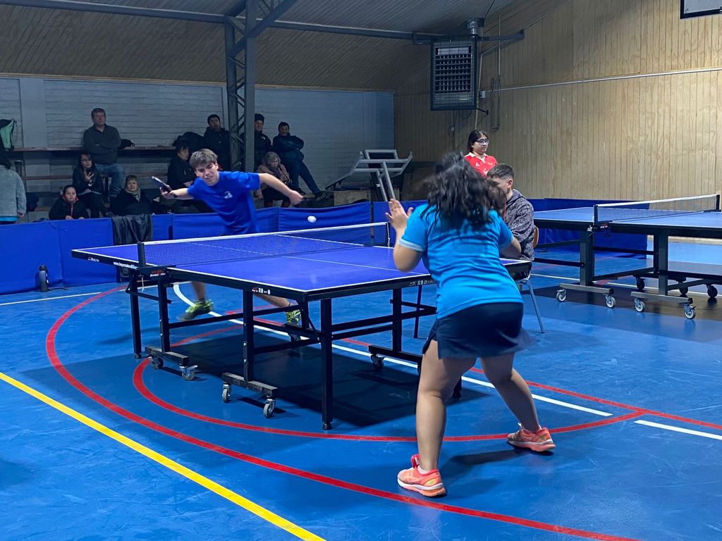 tenisdemesapuq tenisdemesapuq