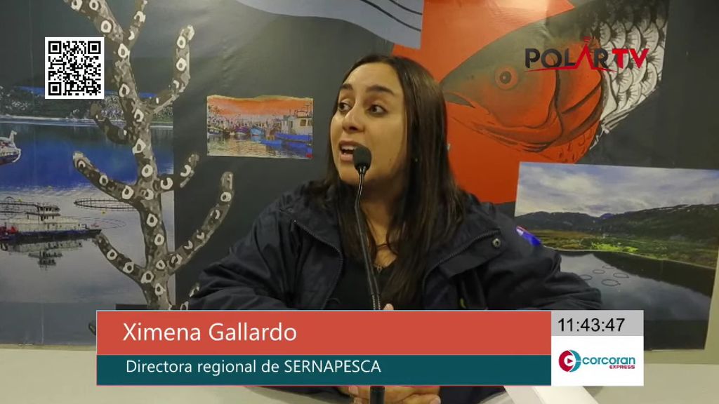 Imagen de WhatsApp 2024-12-19 a las 22 Imagen de WhatsApp 2024-12-19 a las 22