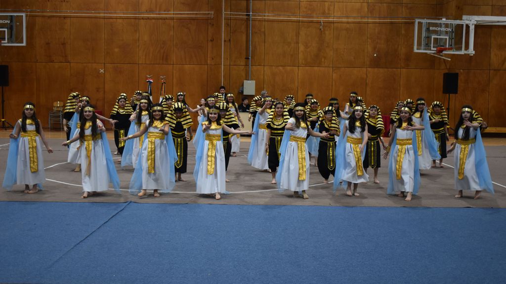 muestra folc (7)