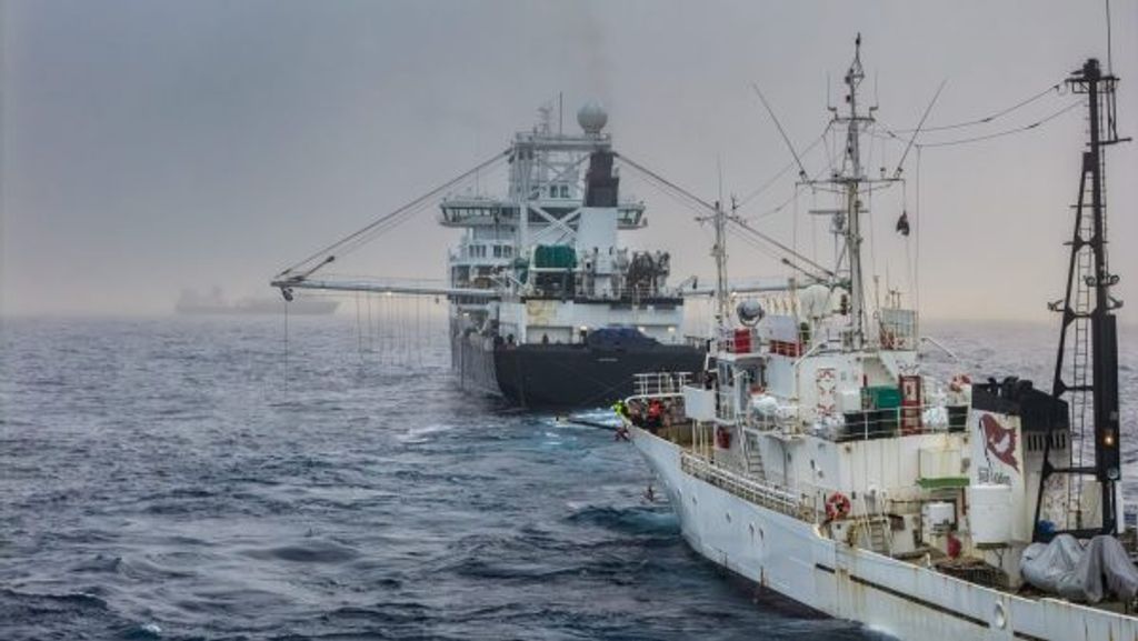 colisión antártica