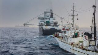 colisión antártica colisión antártica