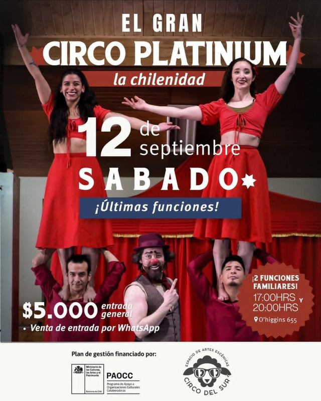circodelsur circodelsur
