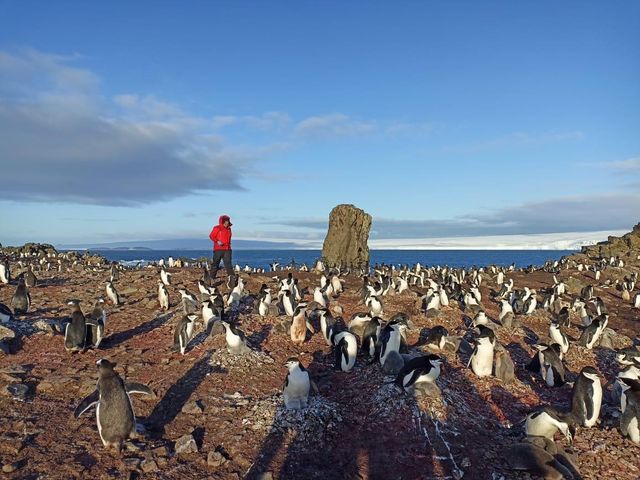 investigacionantartica investigacionantartica