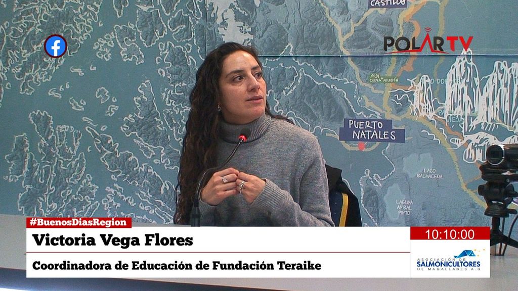 victoriavegafundacion victoriavegafundacion