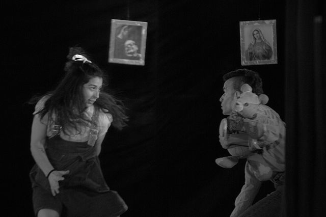 Compañero osito Compañero osito