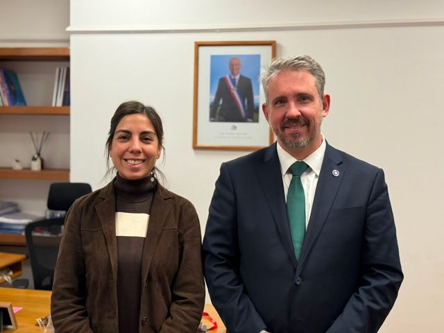 diputadosubsecretariasalud