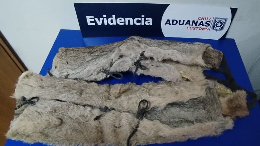 Aduana-pieles-Monte-Aymond-1
