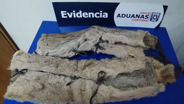 Aduana-pieles-Monte-Aymond-1