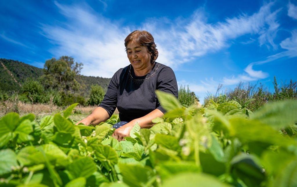 Convenio Marco de Alimentos Convenio Marco de Alimentos